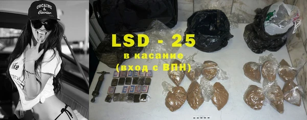 сатива Армянск