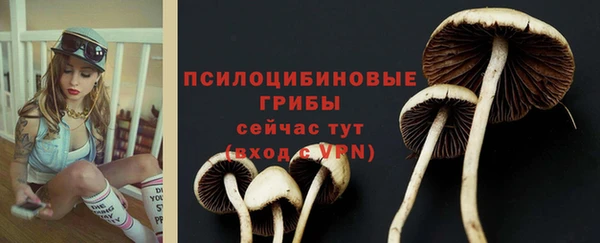 сатива Армянск