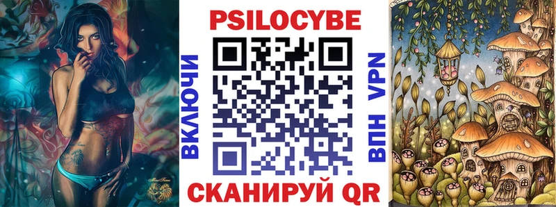 Псилоцибиновые грибы Psilocybe  купить наркотик  Пудож 