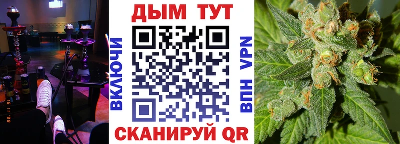 Бошки марихуана OG Kush  Пудож 
